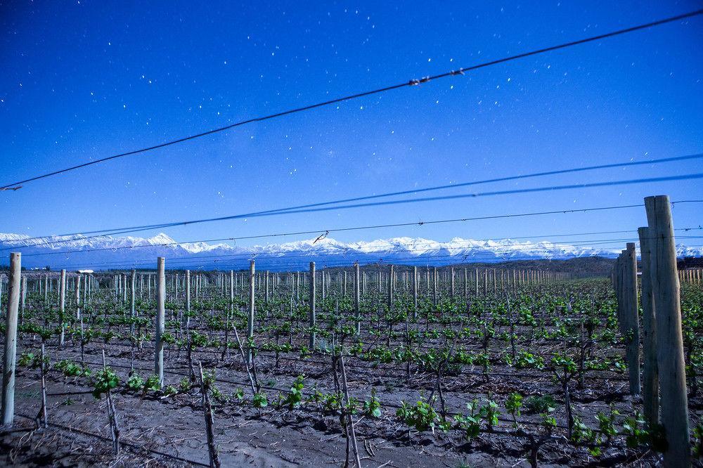 Auberge Du Vin, A Tribute Portfolio Hotel Tupungato Eksteriør billede