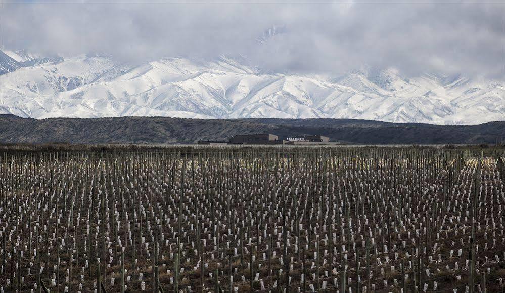 Auberge Du Vin, A Tribute Portfolio Hotel Tupungato Eksteriør billede