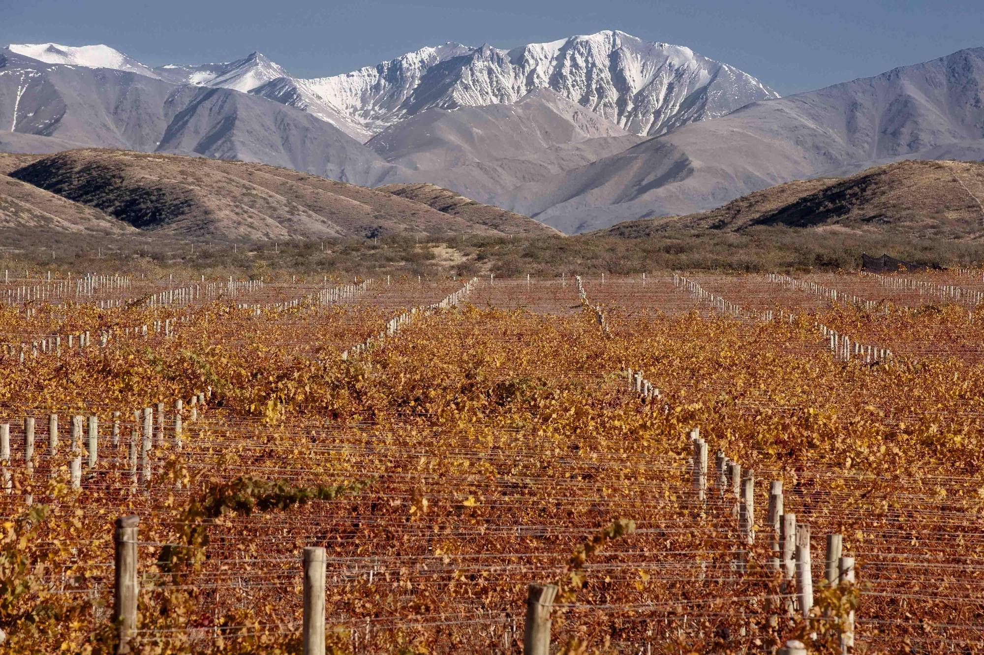 Auberge Du Vin, A Tribute Portfolio Hotel Tupungato Eksteriør billede